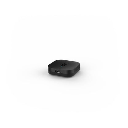 GCAST Bluetooth Wi-Fi Bridge-2.jpg